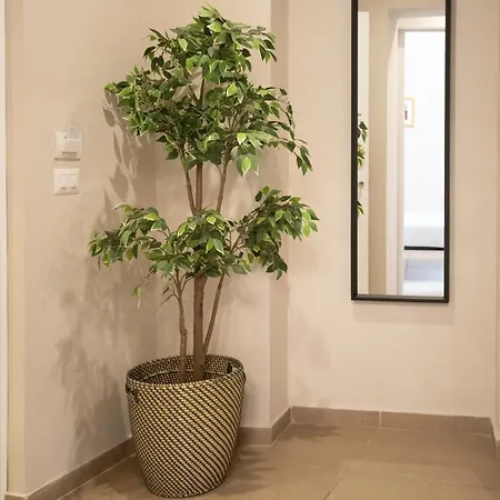 Serenity Bed & Breakfast